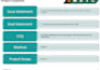 professionally do data analysis and analytics and PPT